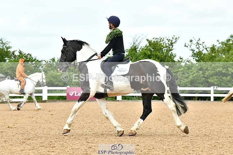 230804A-105857-02083 - Musical Ride