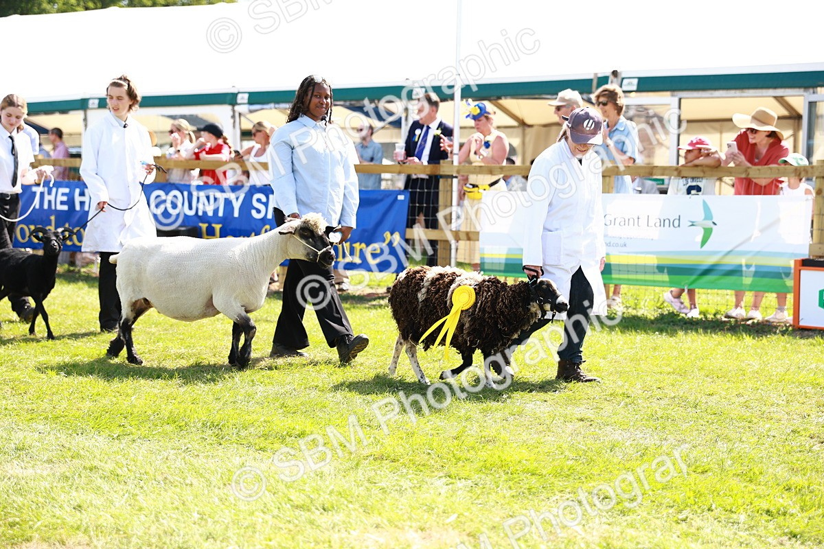 SBM_08397 - Grand Parade
