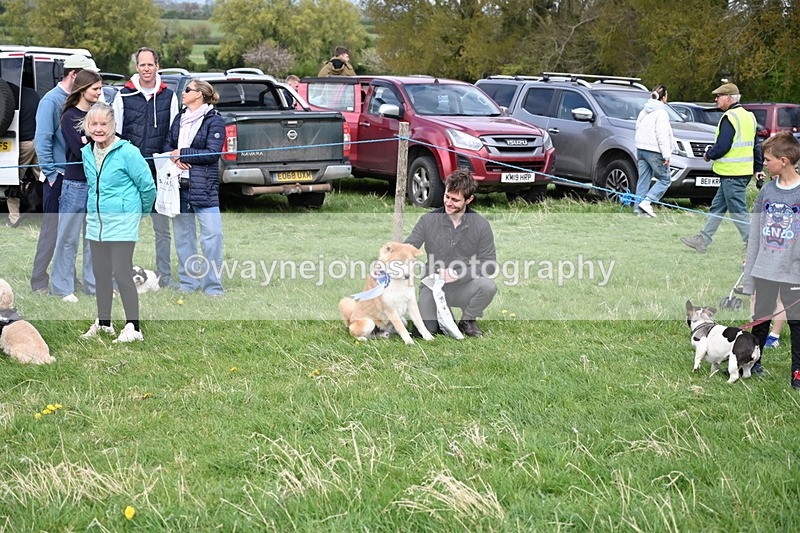 WJ6_8603 - Class 6 Best Rescue