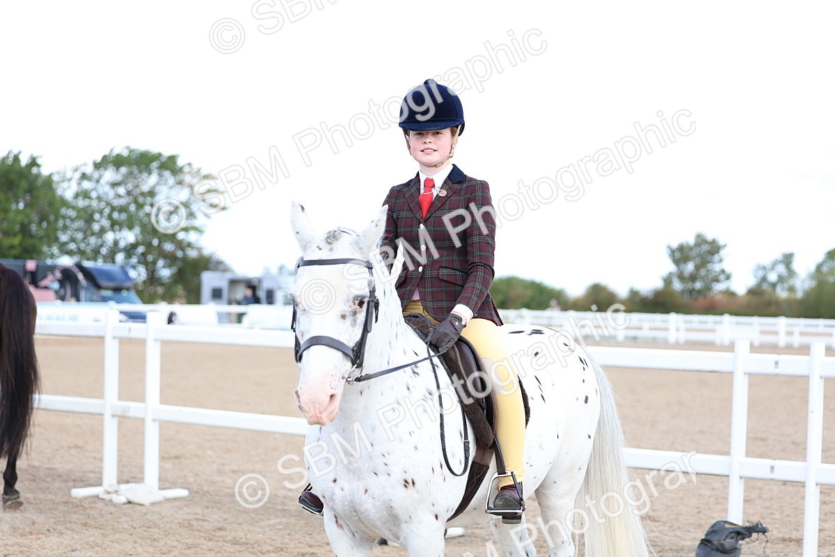 SBM_10846 - Class 305 - Ridden Foreign Breeds - Pure Bred