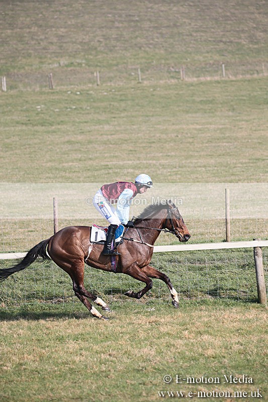 PtP 230219 259 - Vine & Craven Point-To-Point - Barbury 23/02/19