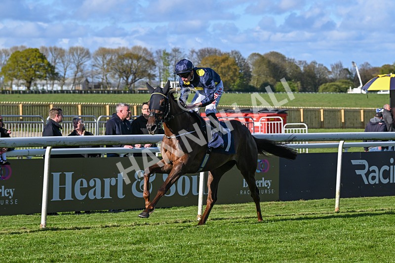 250424-Race 7-Little Rose-2025 - Race 7