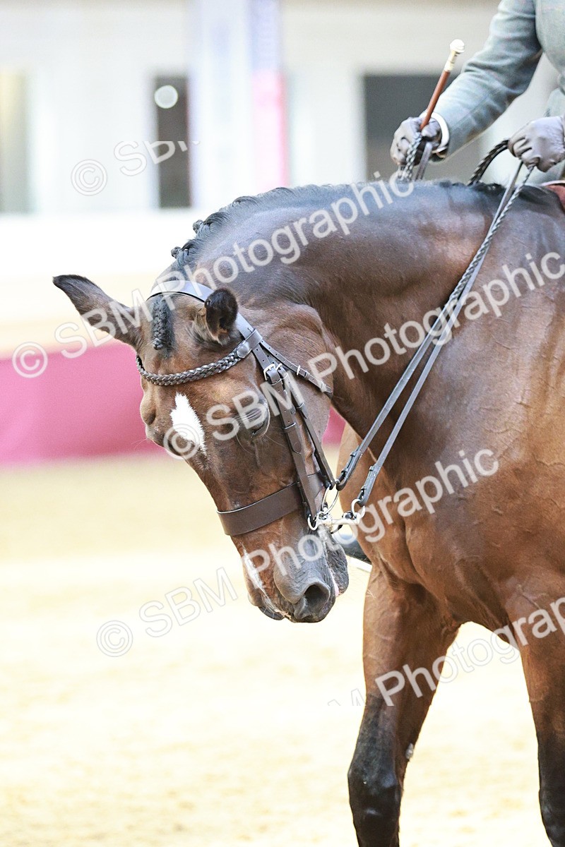 SBM_07143 - Class 10R - Regional Ridden Diamond