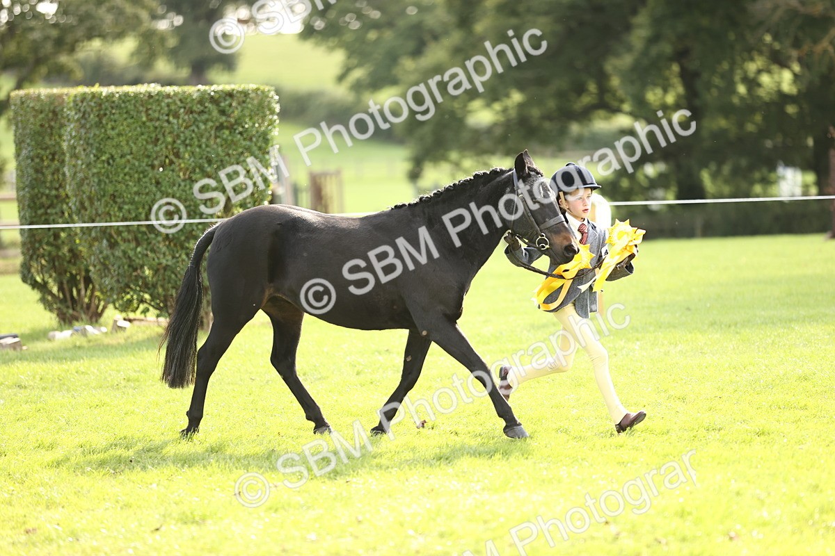SBM_26312 - S5 - Novice & Newcomers In Hand