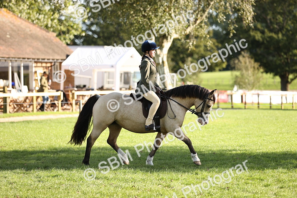 SBM_29312 - S7 - Novice & Newcomers Ridden Pony