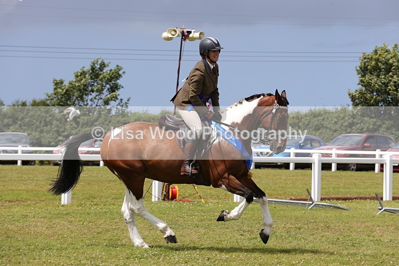 1X9A4994 - Veteran Championship