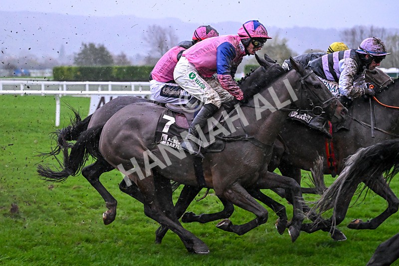 141125-Race 5-Moneygarrow-0982 - Race 5