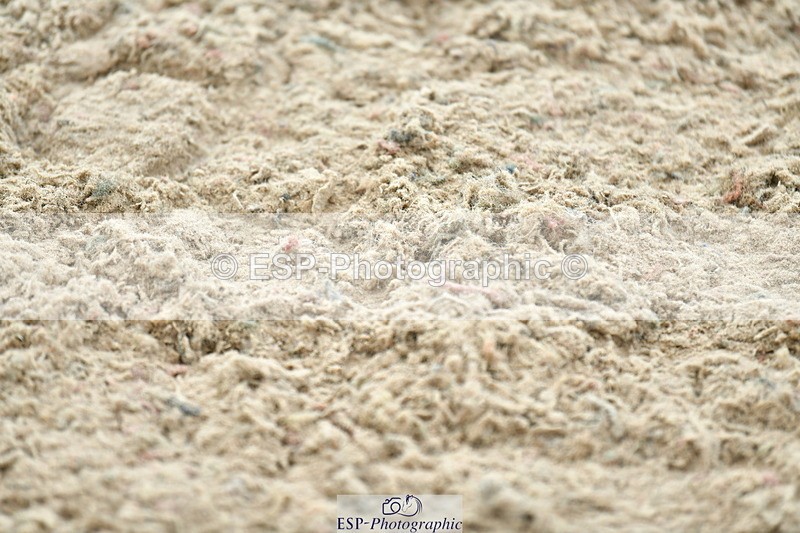 230721A-130540-06445 - Cls 14, 1 Star Bronze 1.10m