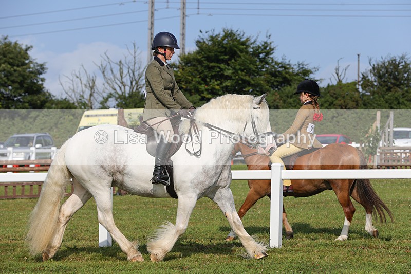 1X9A3215 - Class 28: Ridden Native/Trad Coloured Pony
