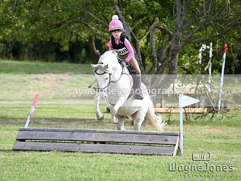 WJ6_8415 - Edited examples
