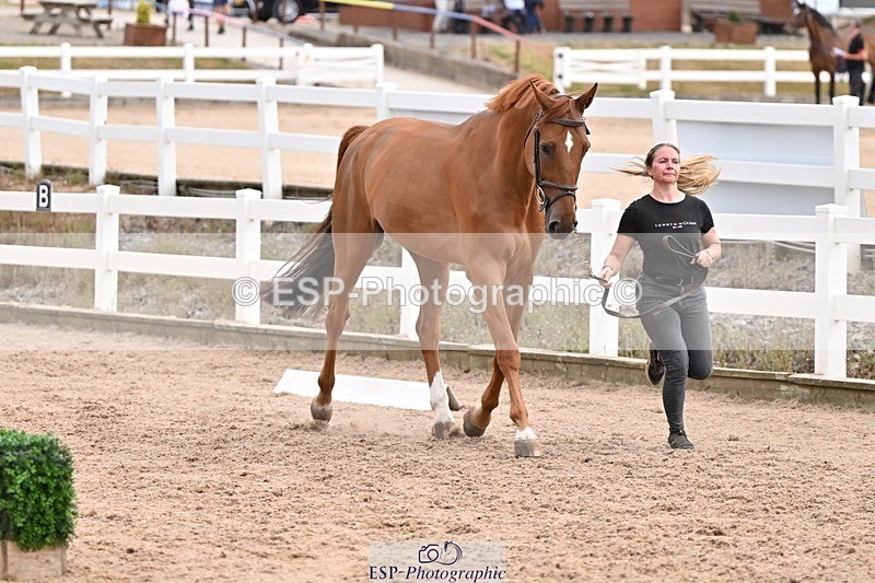 250716-151432-01814 - Trot Up 2.30 to 3.30