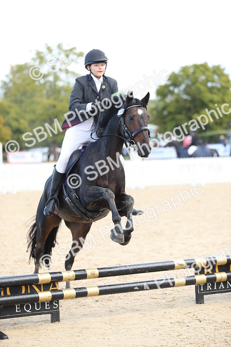 SBM_37271 - J20 - Junior Horse 50cm Championship