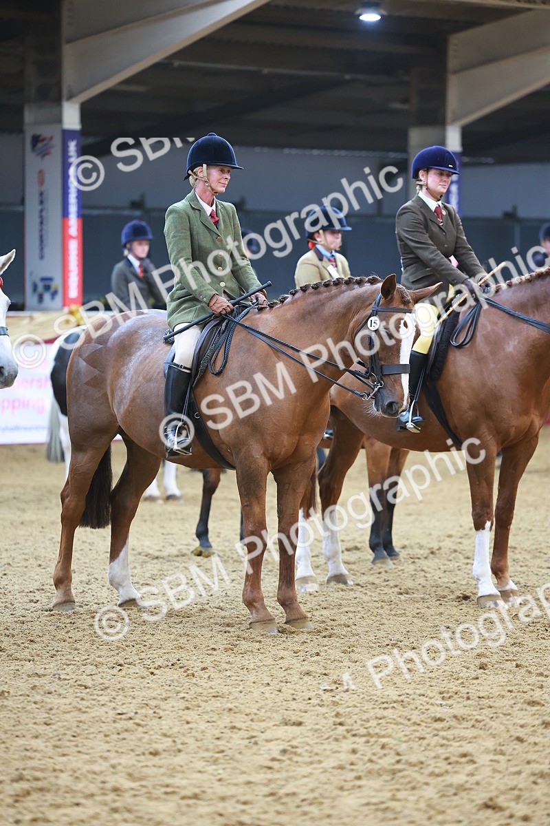 SBM_12677 - Class 103 - HOYS Veteran Qualifier - Ridden Pre Vet