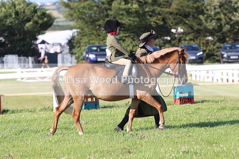 JPP_0668 - Class 16: Cornish Combination Leading Rein