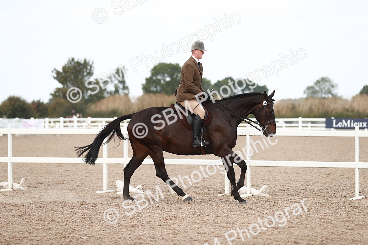 SBM_15489 - Class 213 Ridden Hunter -Large