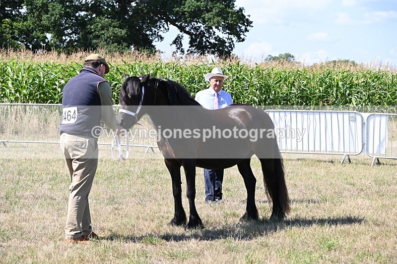 WJ6_4760 - Class 17 Mountain & Moorland