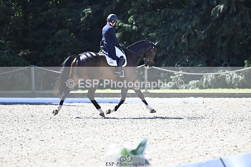 250522A-101140-02628 - B-310-Kitty.King-LISCARROW.FERNHILL