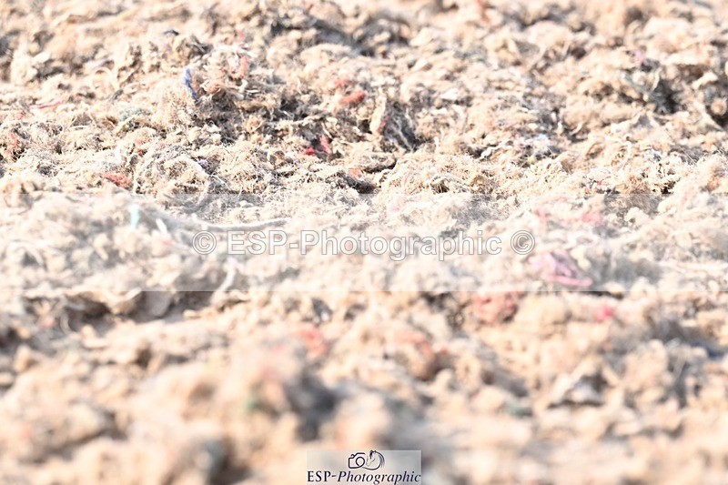 250621-175826-12446 - Cls 36 - Adv Medium 6