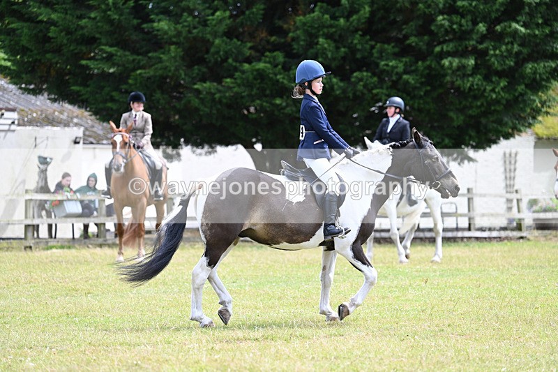 WJ7_9685 - Class 8 Ridden Veterans