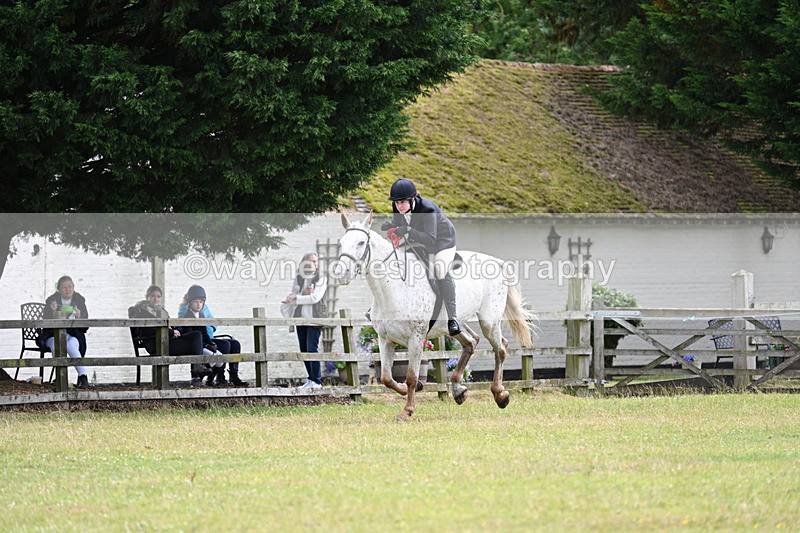 WJ7_8845 - Class 7  Riding Club Show Horse