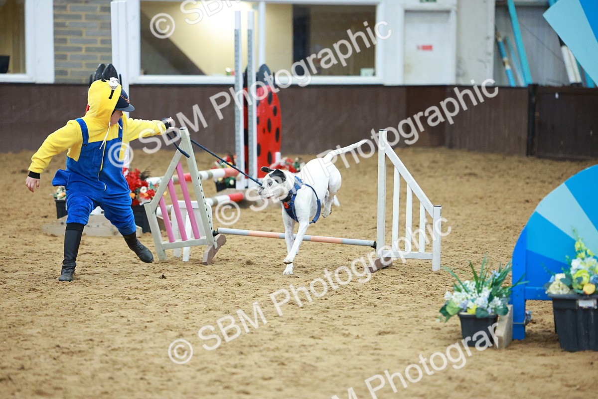 SBM_002273 - Class 3 - Horse & Hound (60cm)