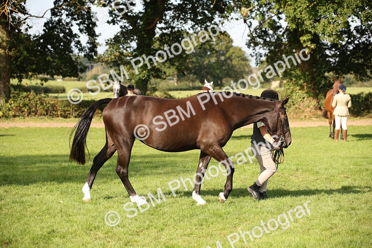 SBM_60118 - S53 - Hunter In Hand