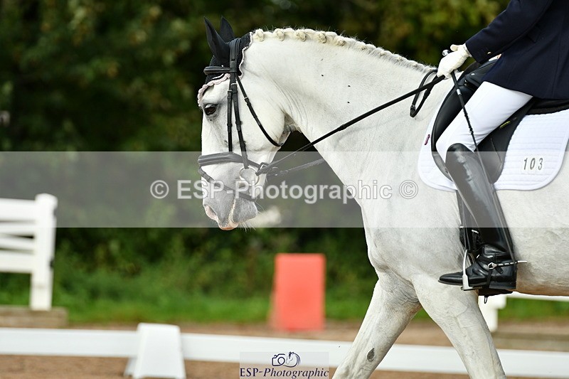 230912A-163916-01826 - Cls 18 FEI PSG