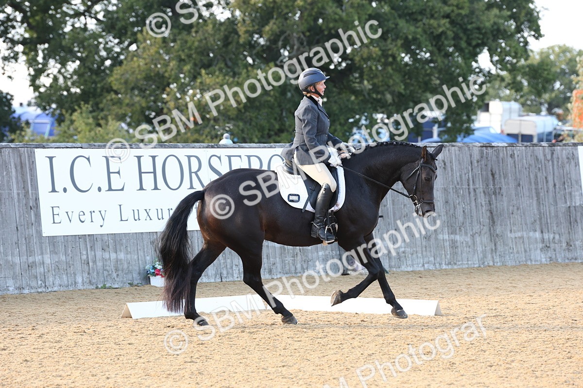 SBM_28264 - D20 - Grand Tour Championship Elementary 3