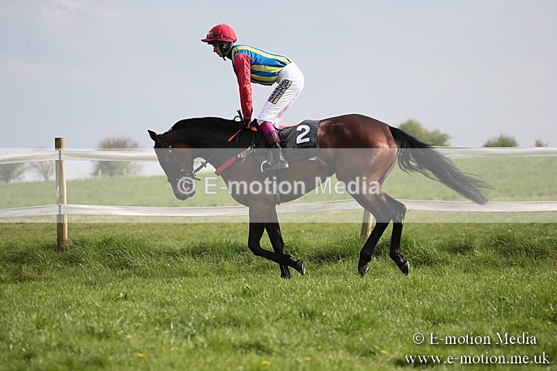 PtP 210418 399 - South & West Wilts Point-to-Point Larkhill 21/04/18