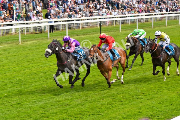170523-Race 3-Azure Blue-8709 - Race 3 3.00pm 1895 Duke of York Clipper Logistics Stakes