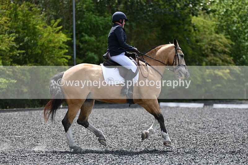 WJ5_0589 - Time 12:24 to 13:01