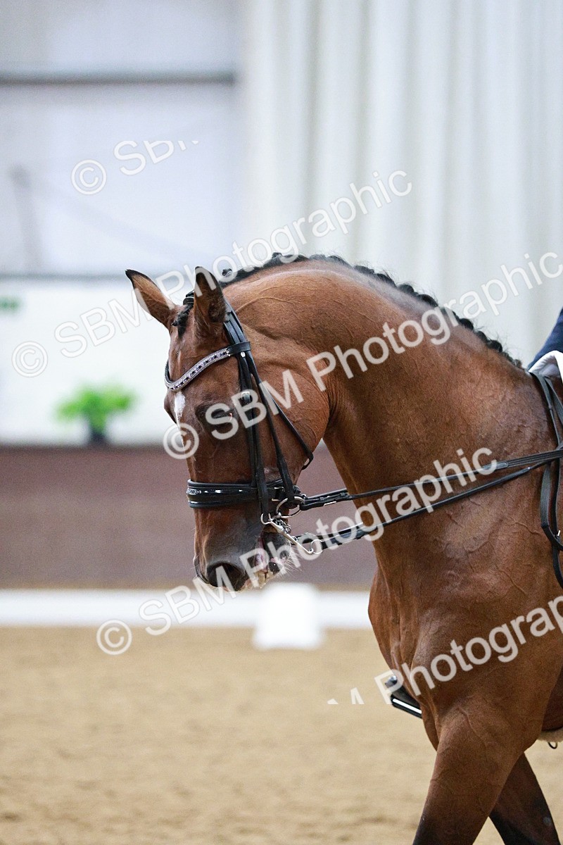 SBM_020665 - Class 13 - FEI INT I - 15.30-16.00