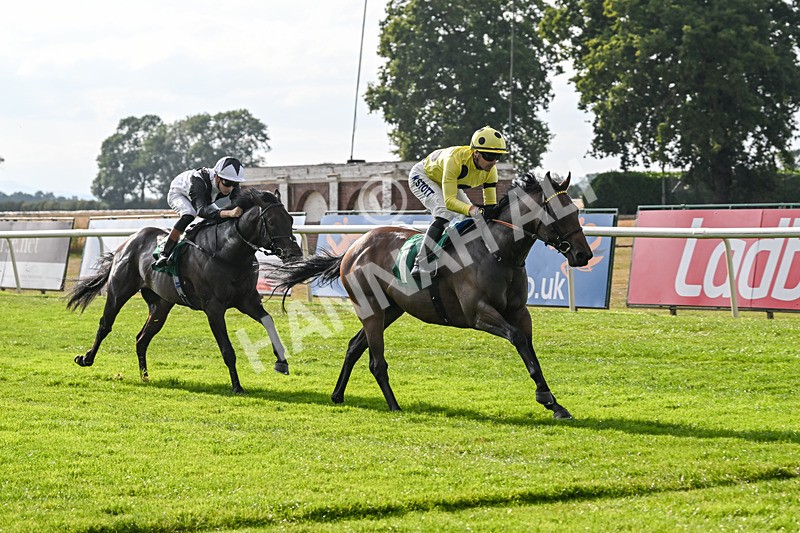 150825-Race 1-Alaminos-2381 - Race 1