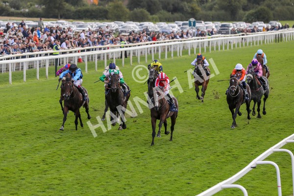 230824-Race 4-Bradsell-8400 - Race 4 3.35pm Coolmore Wootton Bassett Nunthorpe Stakes
