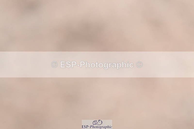 240622A-140231-18616 - Cls 32 BD Medium 69