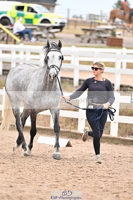 250716-155538-02288 - Trot Up 3.30 to 4.30