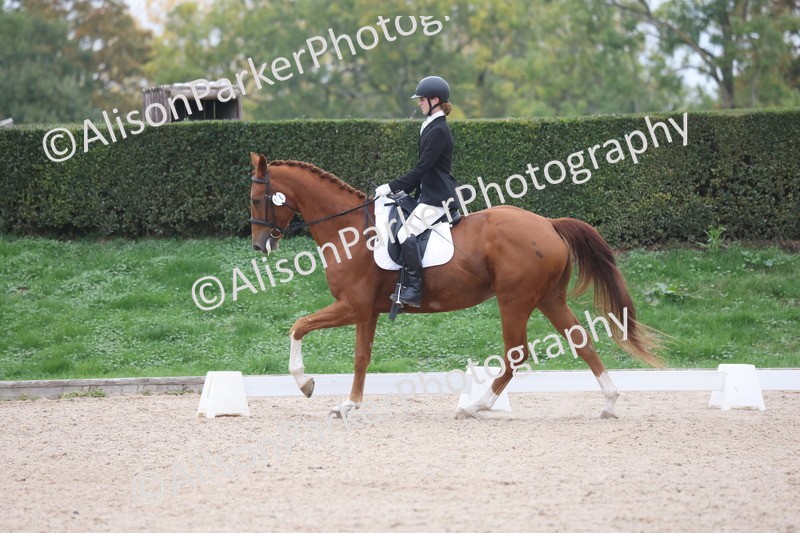 20251011-0583 - Class 4 - Novice 2