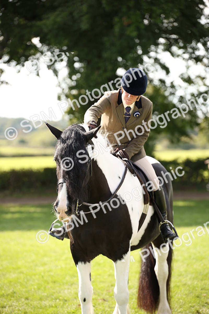 SBM_70145 - S65 - Piebald & Skewbald Horse Ridden