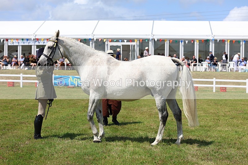 3E7A1187 - Class 8: Open Riding Horse/Hack