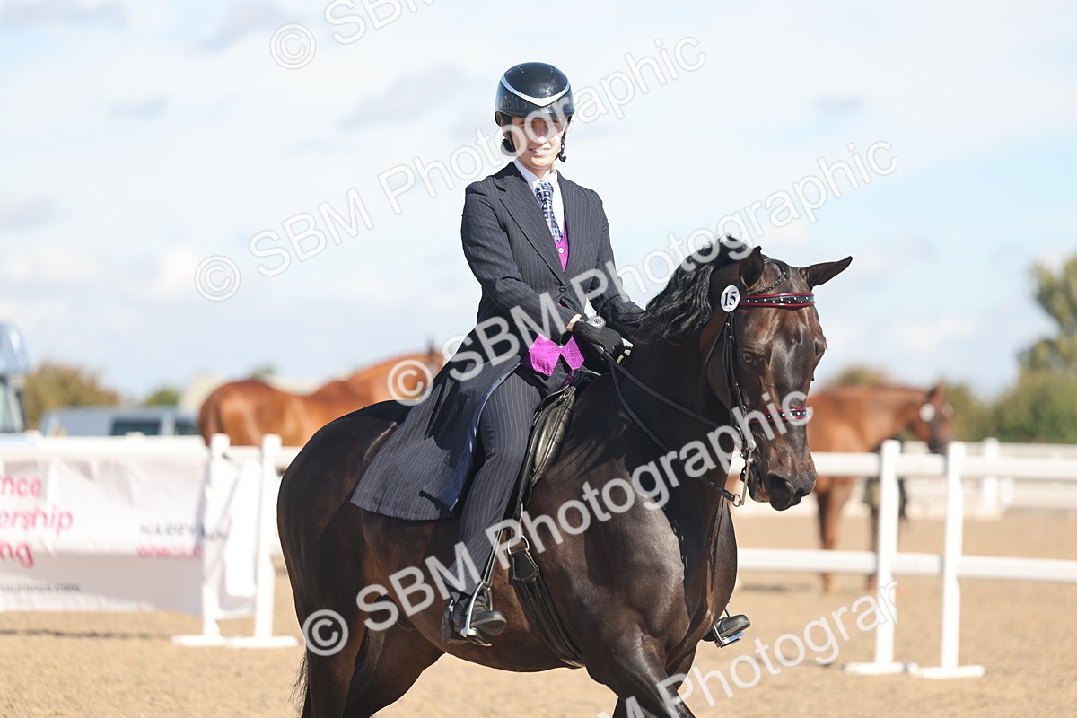 SBM_13138 - Class 305 - Ridden Foreign Breed Pure Bred