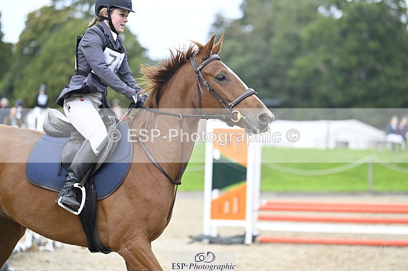 251005A-130123-04005 - Cls 08 Mini 70-75cm