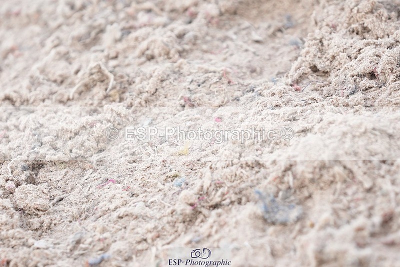 250921-133134-03372 - Cls 15-17 CoH 90cm, 1m and 1.10m