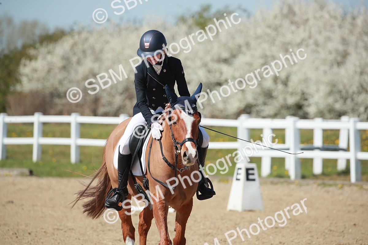 SJ3_1338 - Class 8 - E5