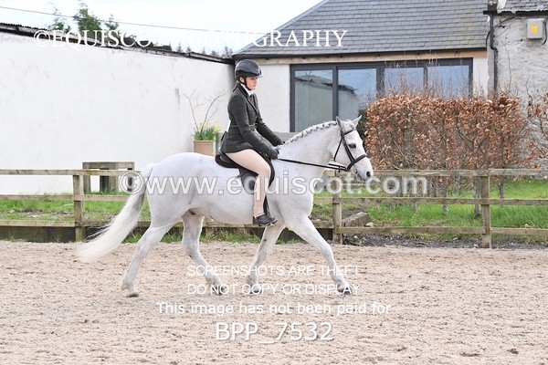 BPP_7532 - RING 1  (RIDDEN HORSES / IN HAND / VETERAN ETC)