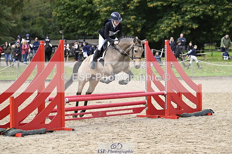 251005A-122429-03762 - Cls 08 Mini 70-75cm