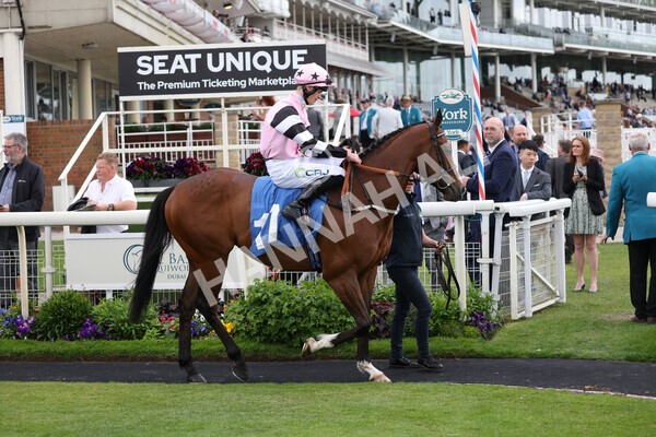 yr10062022r5-8 - Race 5 4.05pm Irish Thoroughbred Marketing Stakes