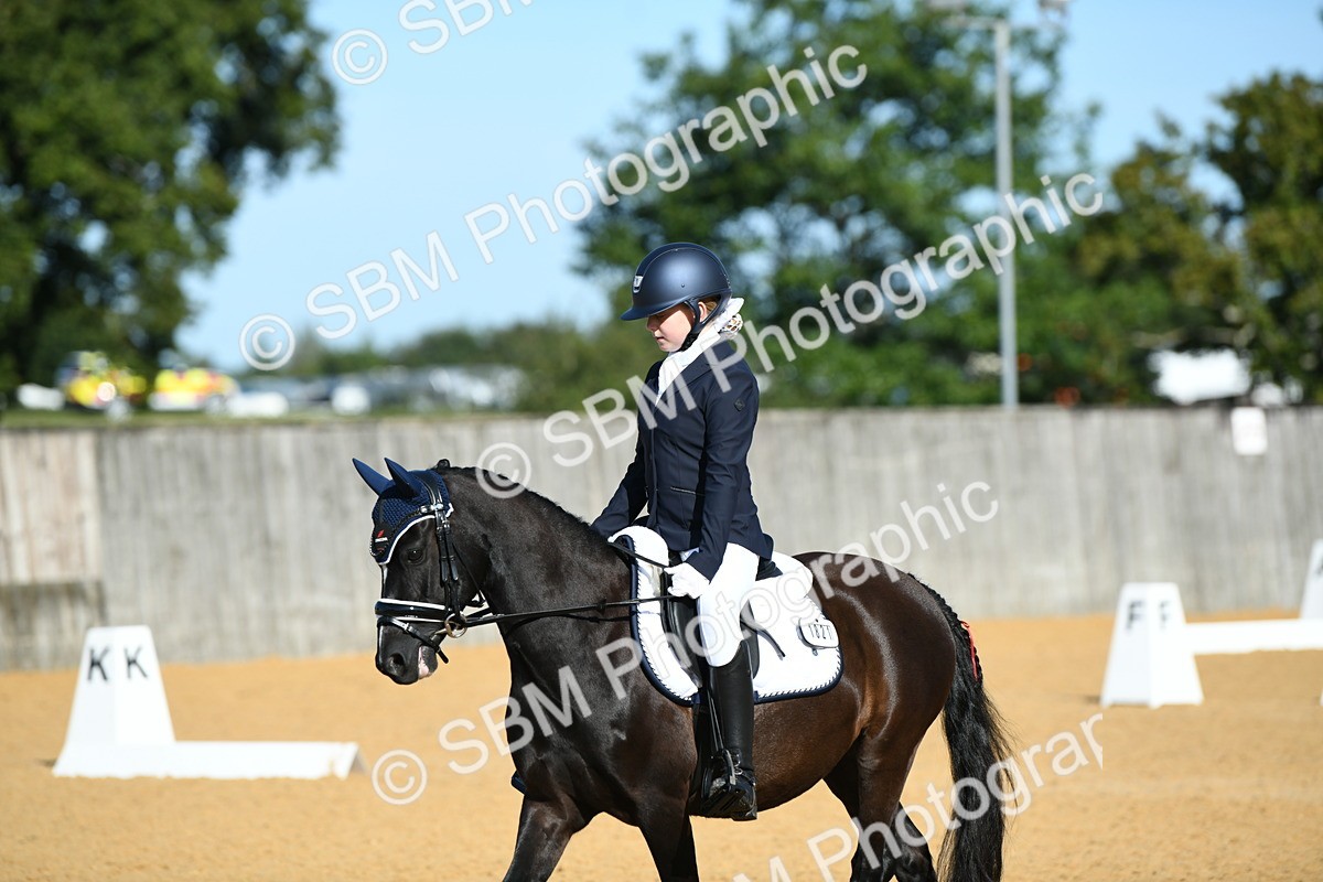 SBM_16312 - D4 - Small Tour Championship - Intro B