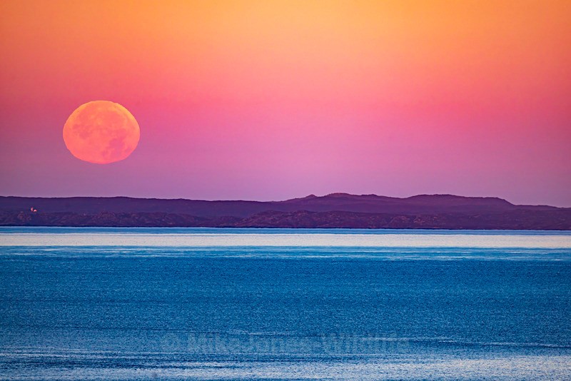 MOONSET, ISLE OF COLL, HEBRIDES SEPT 2 - Sea Mist, Moonset and Sunset over the Hebrides seen from the Isle of Mull