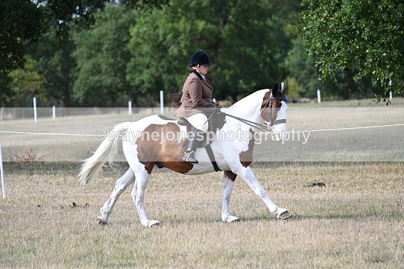 WJ7_7675 - Ridden Championship