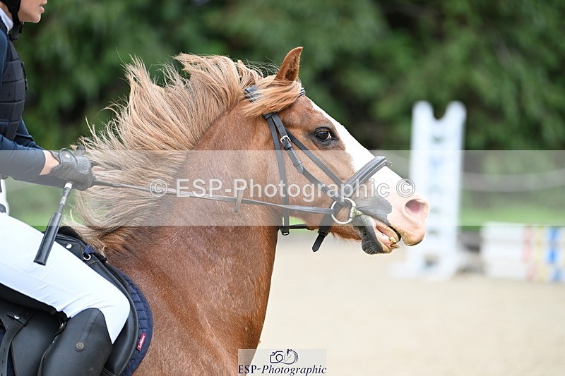 250622A-115008-01272 - 60cm